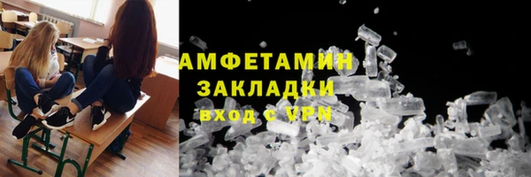 прущие грибы Козельск