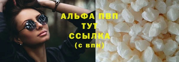 прущие грибы Козельск