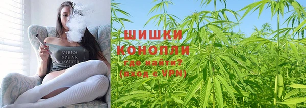прущие грибы Козельск
