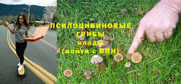 spice Кодинск