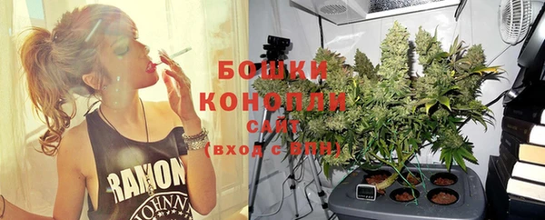 прущие грибы Козельск