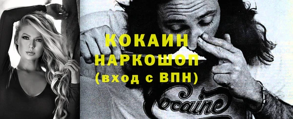 прущие грибы Козельск