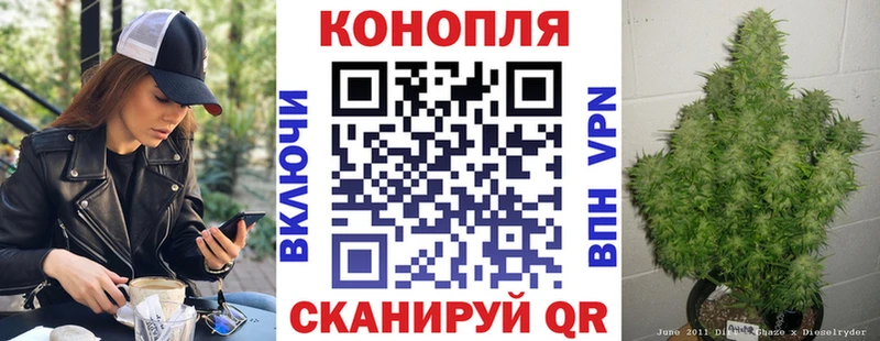 МАРИХУАНА SATIVA & INDICA  где купить   блэк спрут маркетплейс  Ачинск 